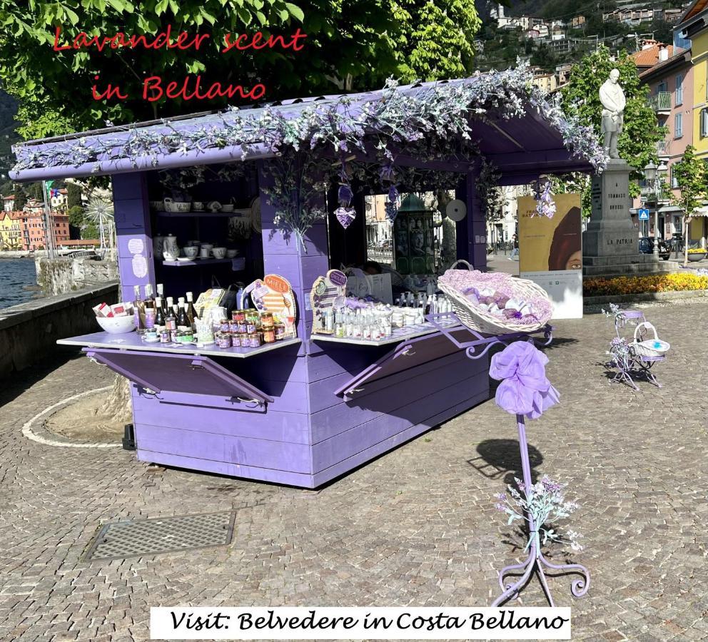 Belvedere In Costa - Lake View Bellano Bagian luar foto