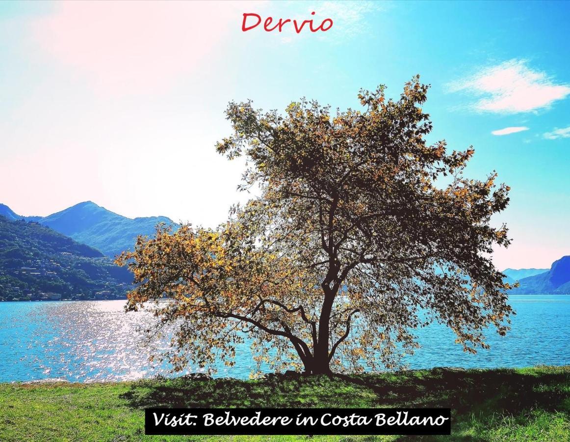 Belvedere In Costa - Lake View Bellano Bagian luar foto